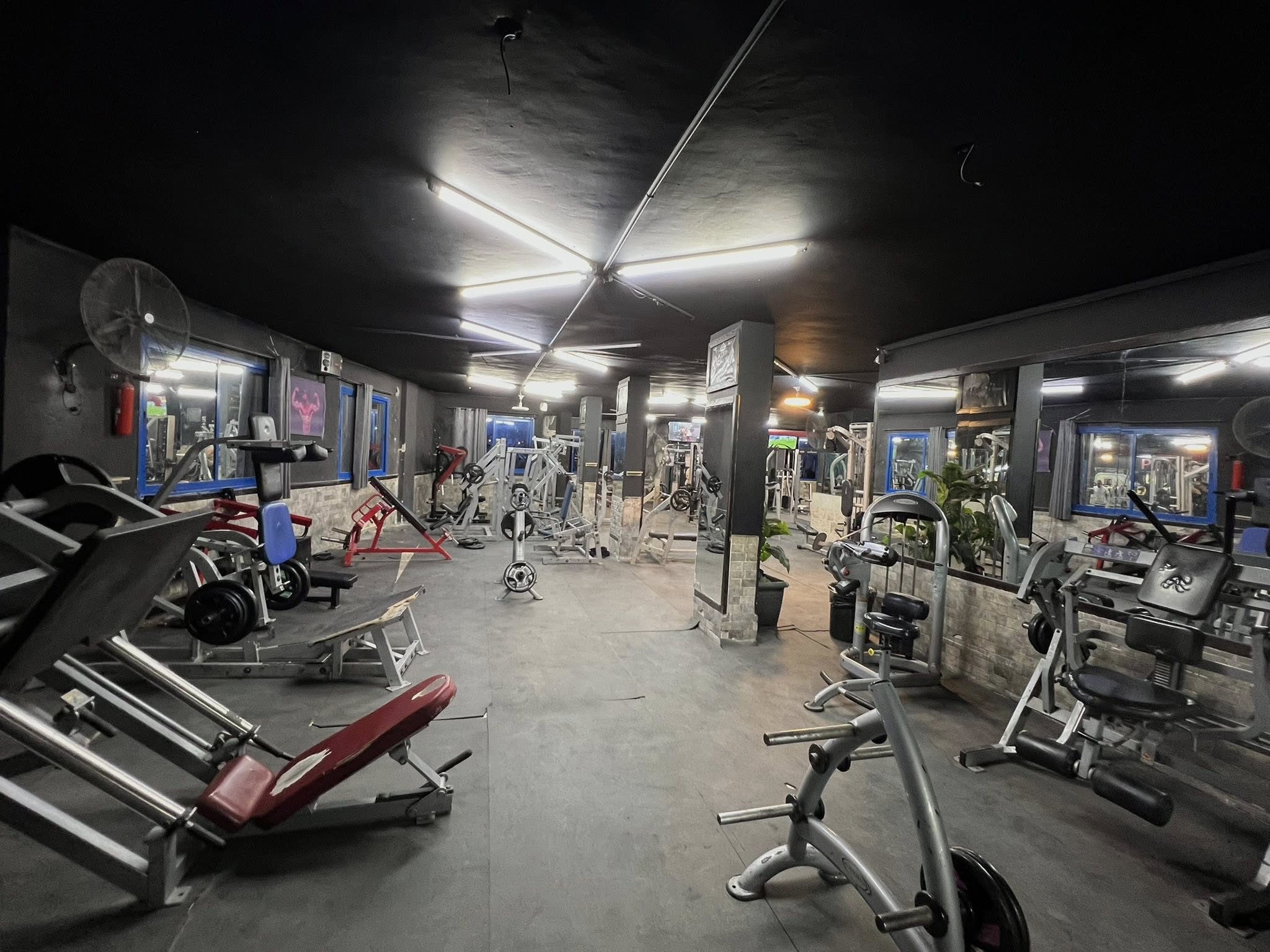 Pro Fitness - صورة 1