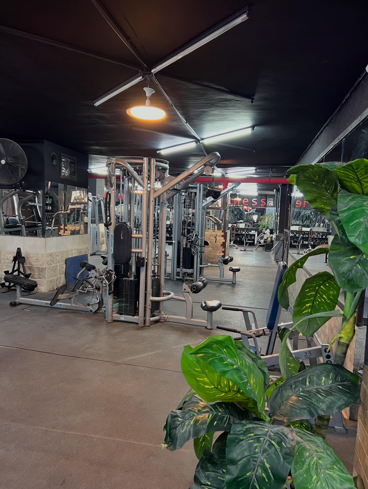 Pro Fitness - صورة 4
