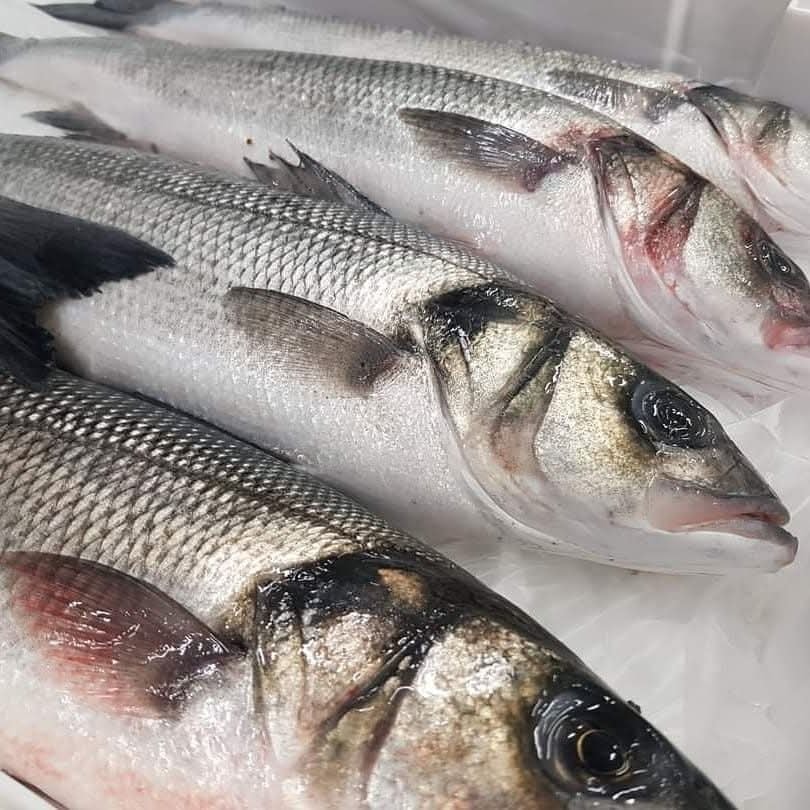 Palestine Fish market - مسمكة فلسطين  - صورة 4