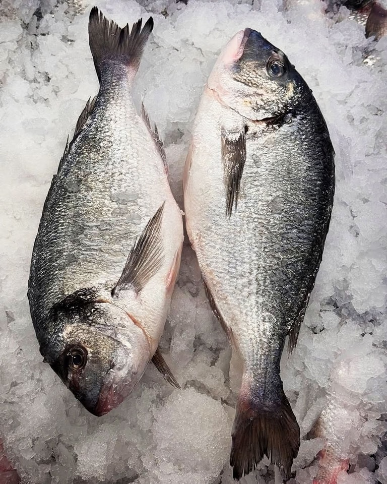 Palestine Fish market - مسمكة فلسطين  - صورة 5