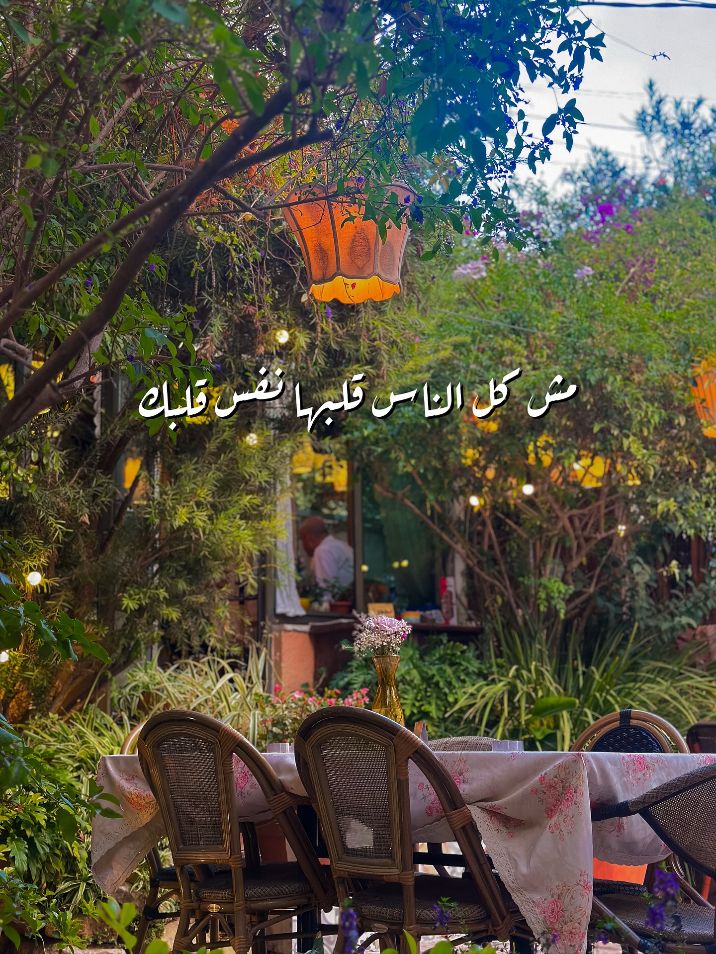 بيت أرضي - Beit Ardi  - صورة 1