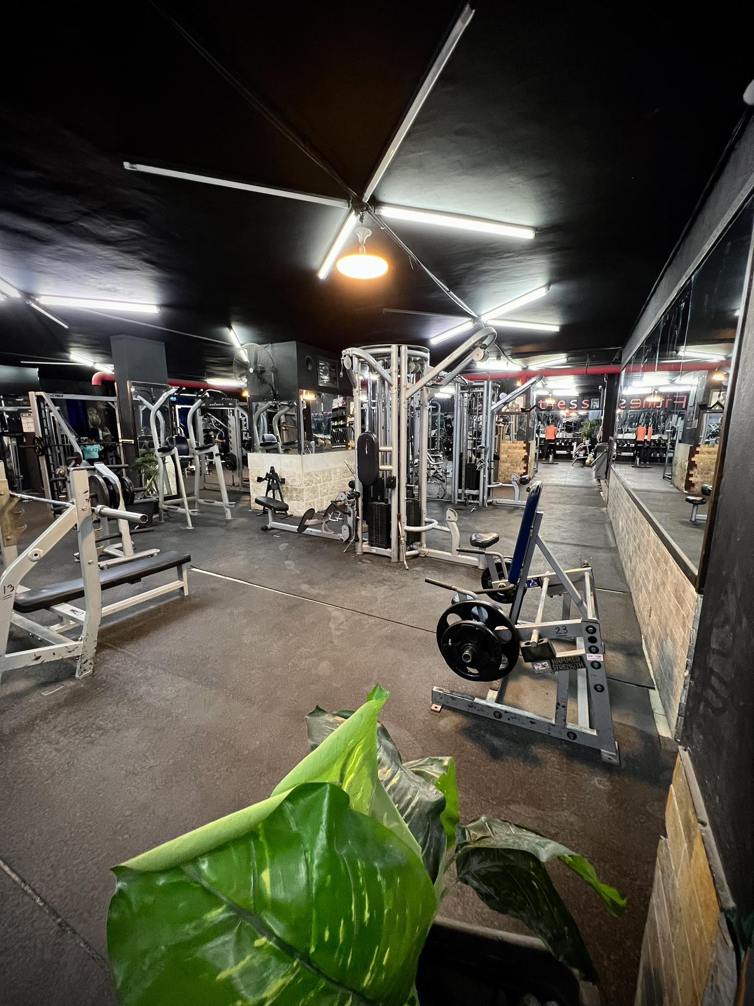 Pro Fitness - صورة 2