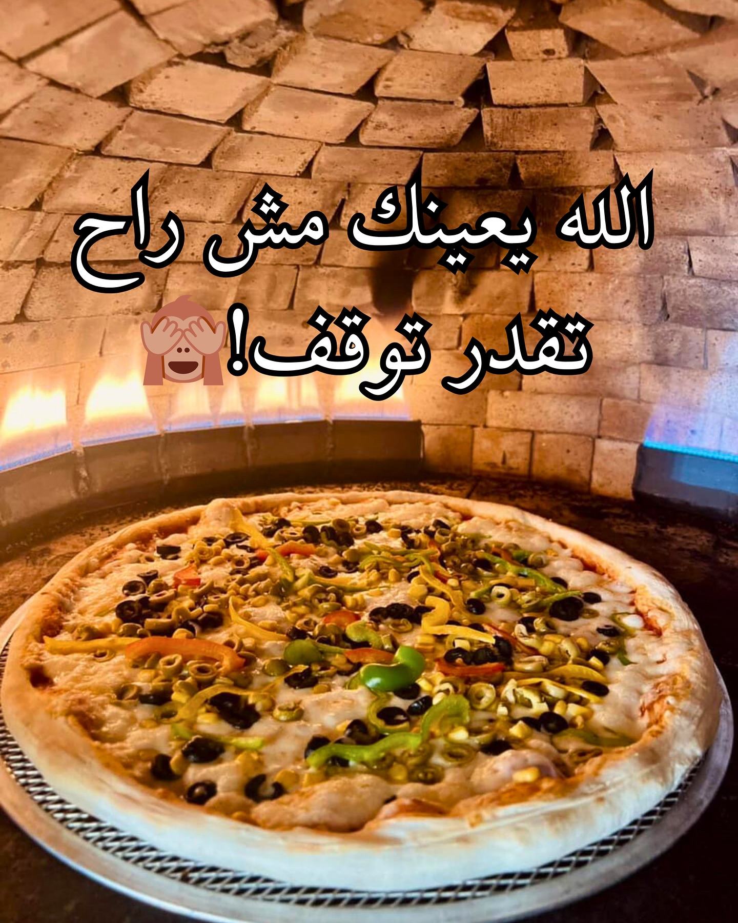 Royal Bakery مخبز و معجنات الملكي  - صورة 2