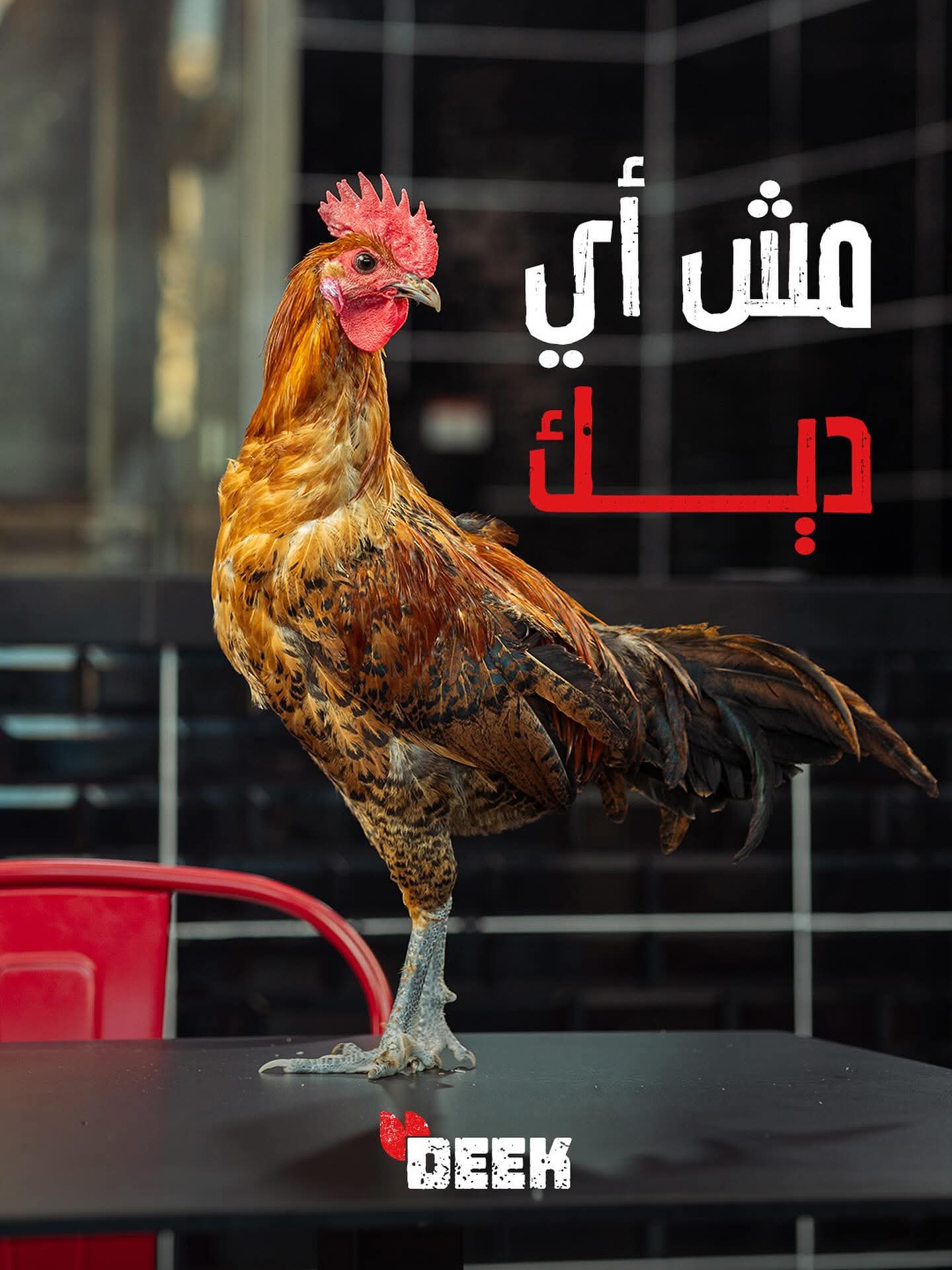 DEEK - صورة 1